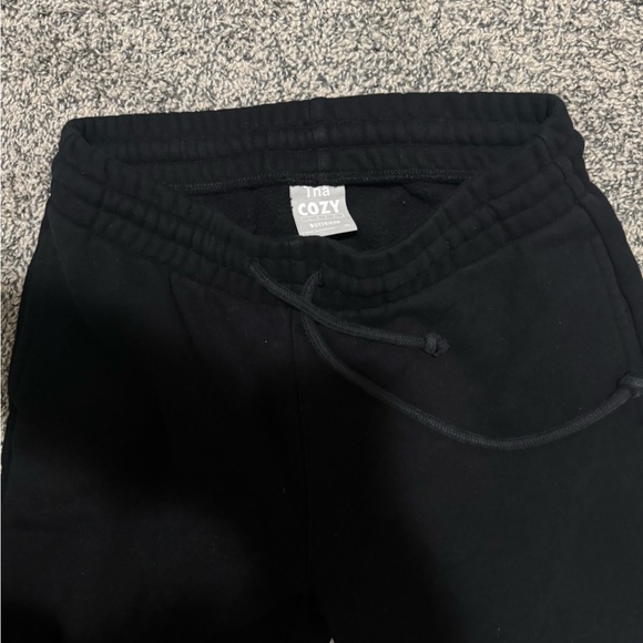 Aritzia Cozy Fleece Sweatpants - Picture 1 of 4
